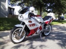 FZR